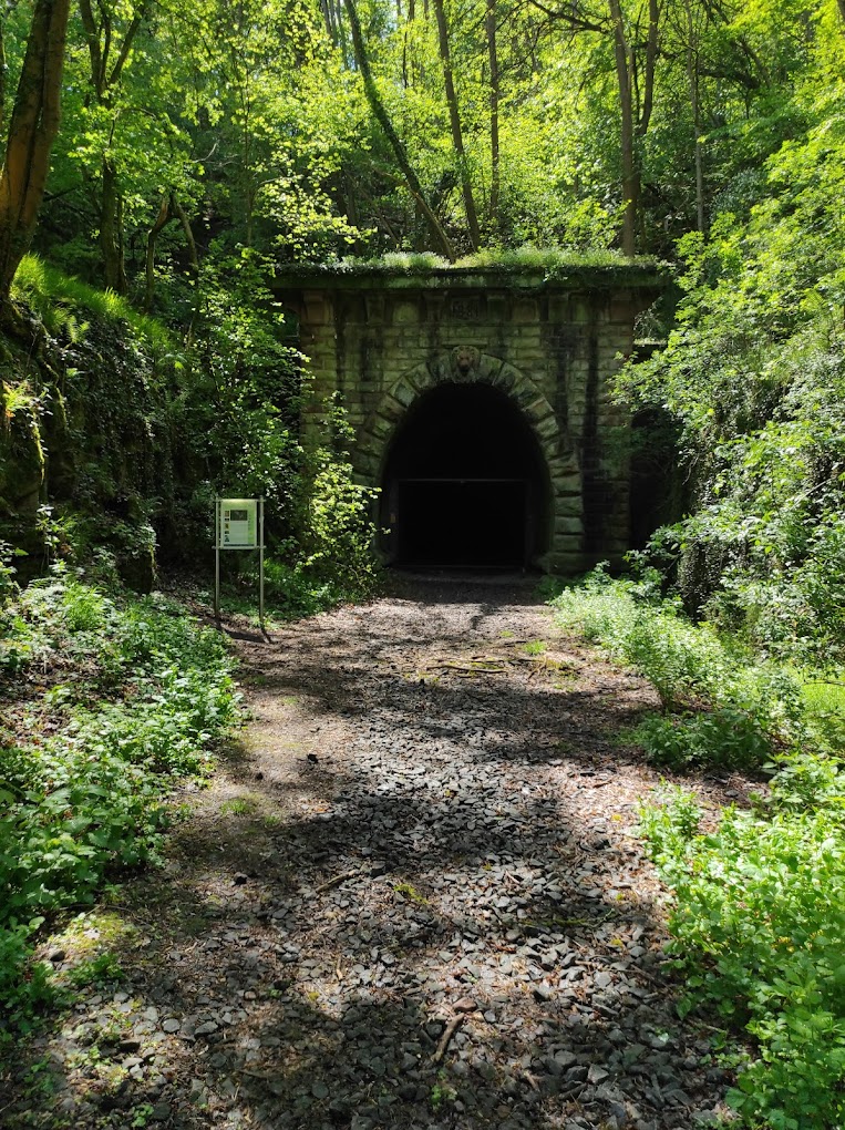 Campingpark Galerie 29